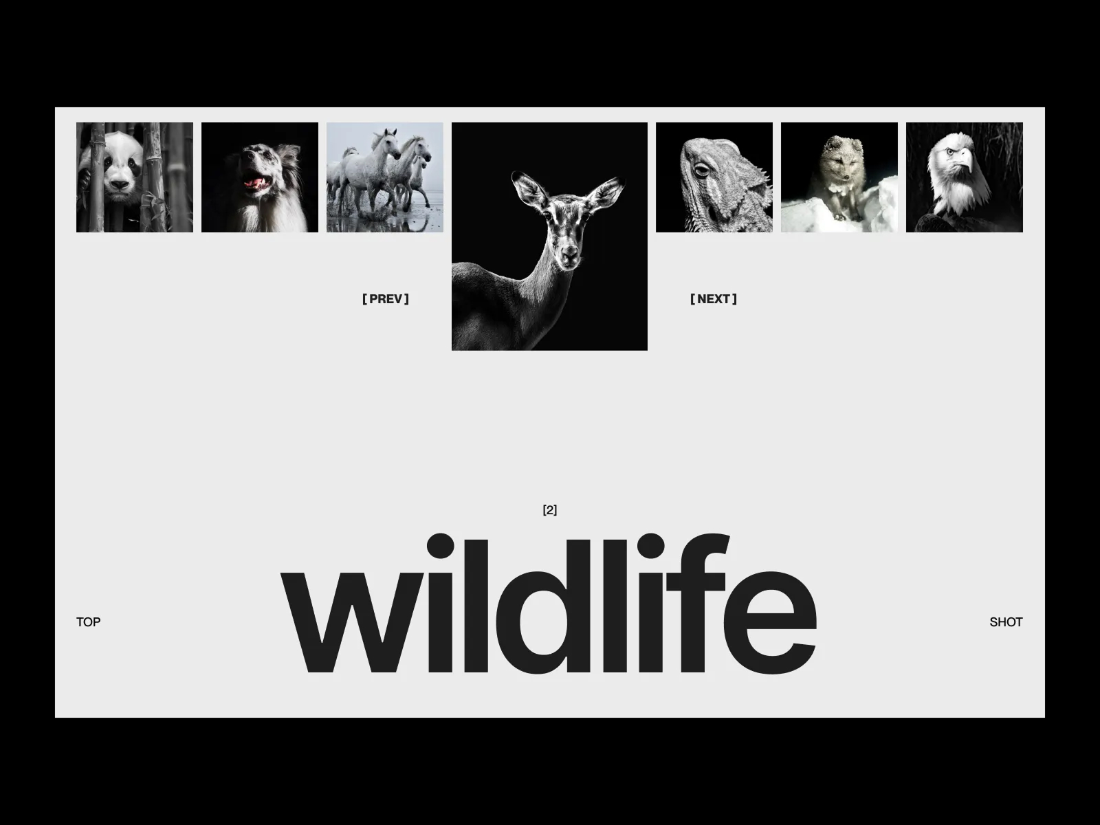 Wildlife